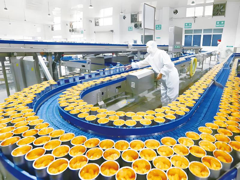 蒸汽发生器用于罐头生产