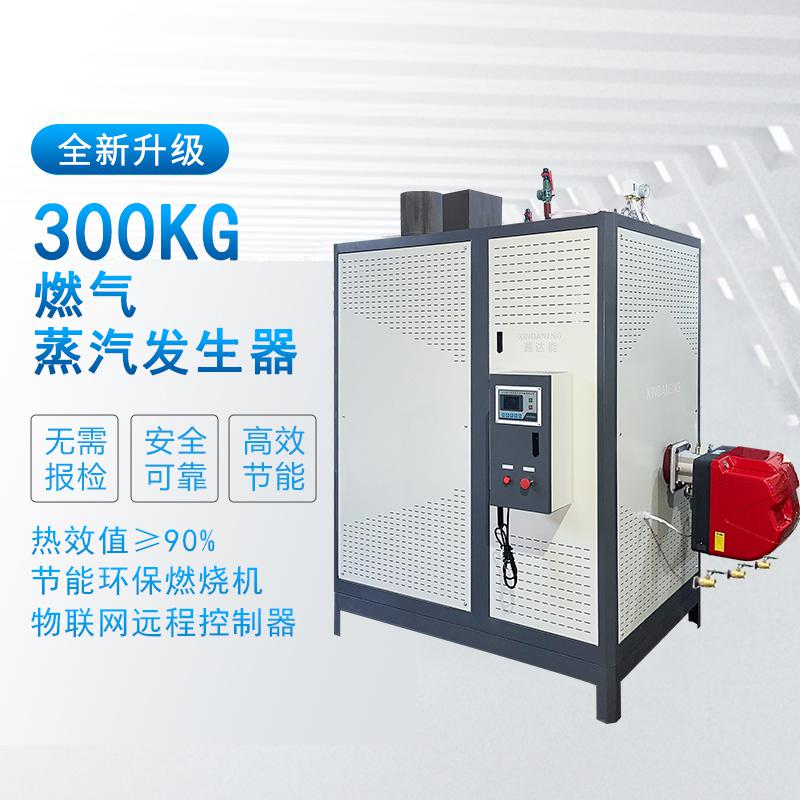 300kg燃气蒸汽发生器