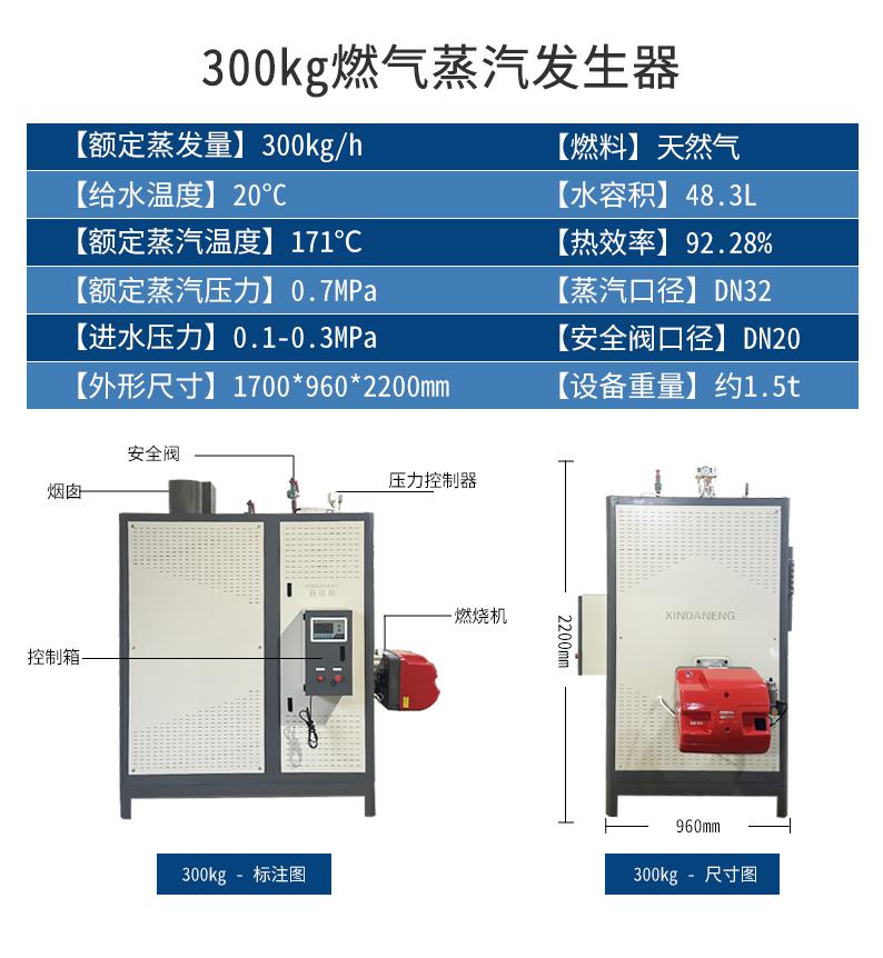 鑫达能300kg蒸汽发生器设备参数