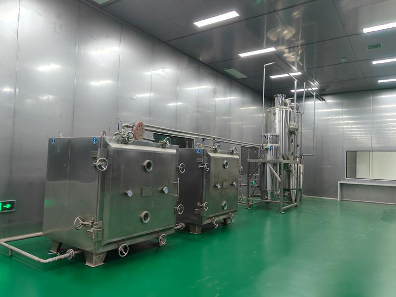 1吨蒸汽发生器用于鸡精加工厂