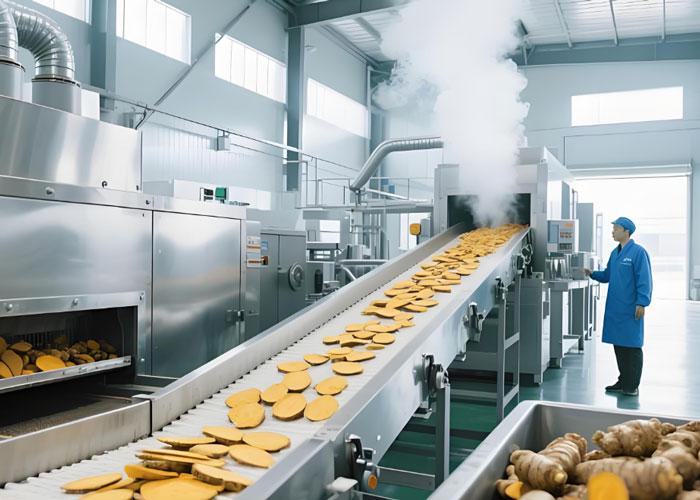 蒸汽发生器用于食品加工行业